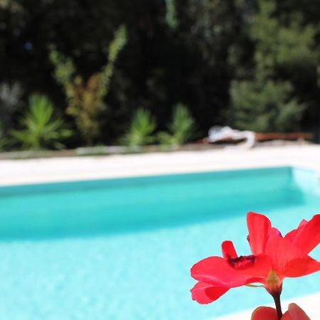 Bosque Dos Amieiros Villa Marco de Canavezes Dış mekan fotoğraf