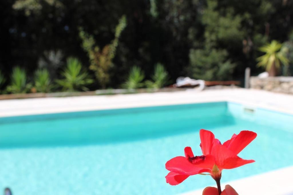 Bosque Dos Amieiros Villa Marco de Canavezes Dış mekan fotoğraf