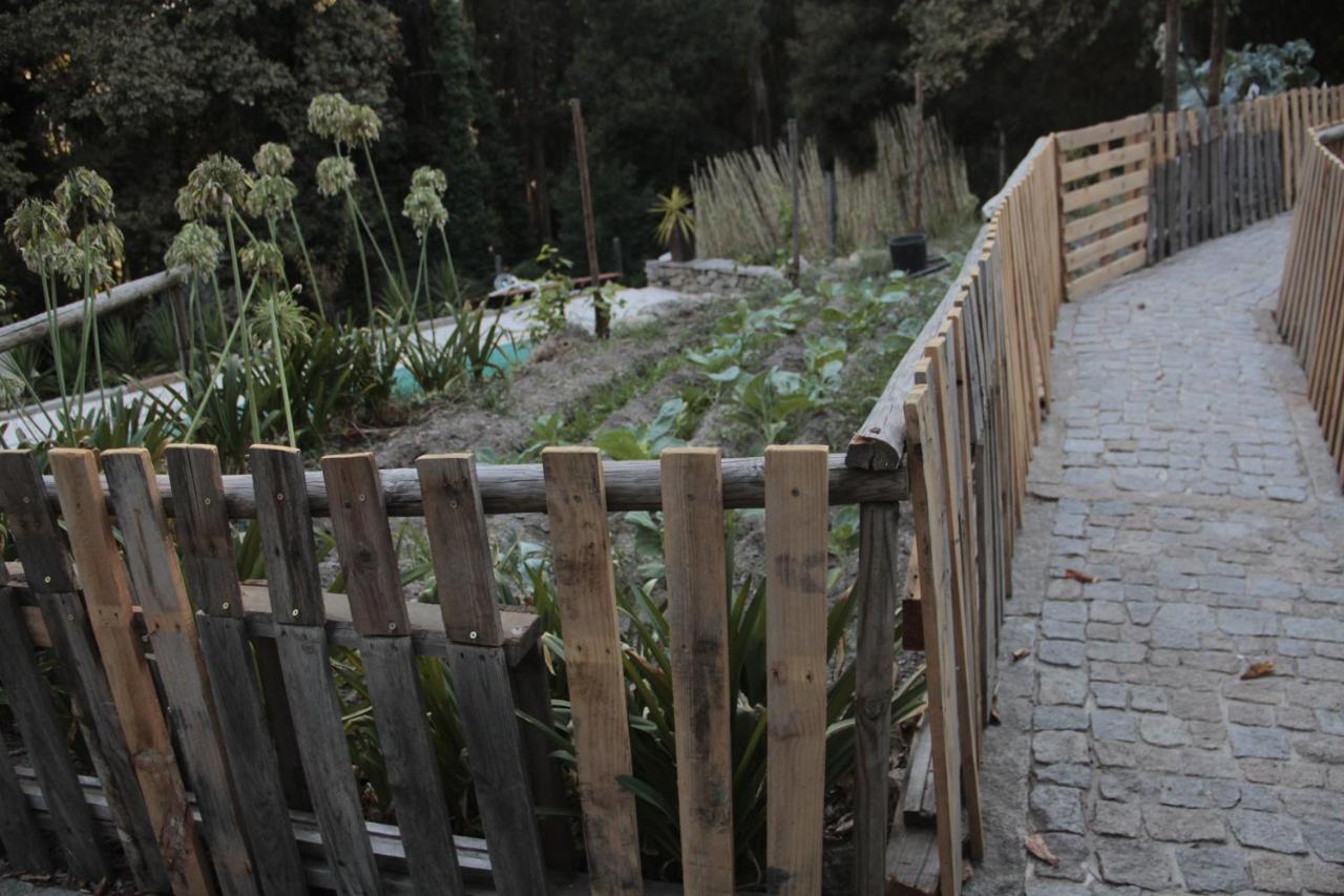 Bosque Dos Amieiros Villa Marco de Canavezes Dış mekan fotoğraf